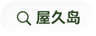 搜索线索:屋久岛
